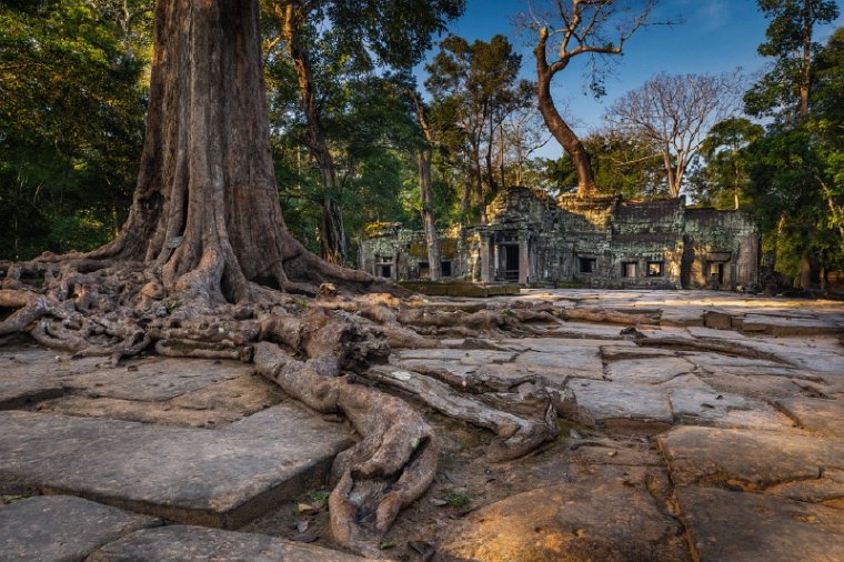 051 Cambodja, Siem Reap, Ta Prohm.jpg